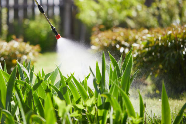 Tamper-Resistant Bait Stations for Rodents in Elmwood Park