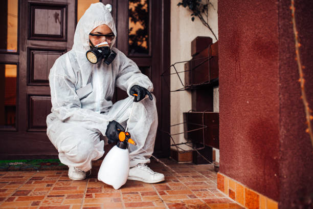 Attic and Crawl Space Rodent Treatment in Elmwood Park